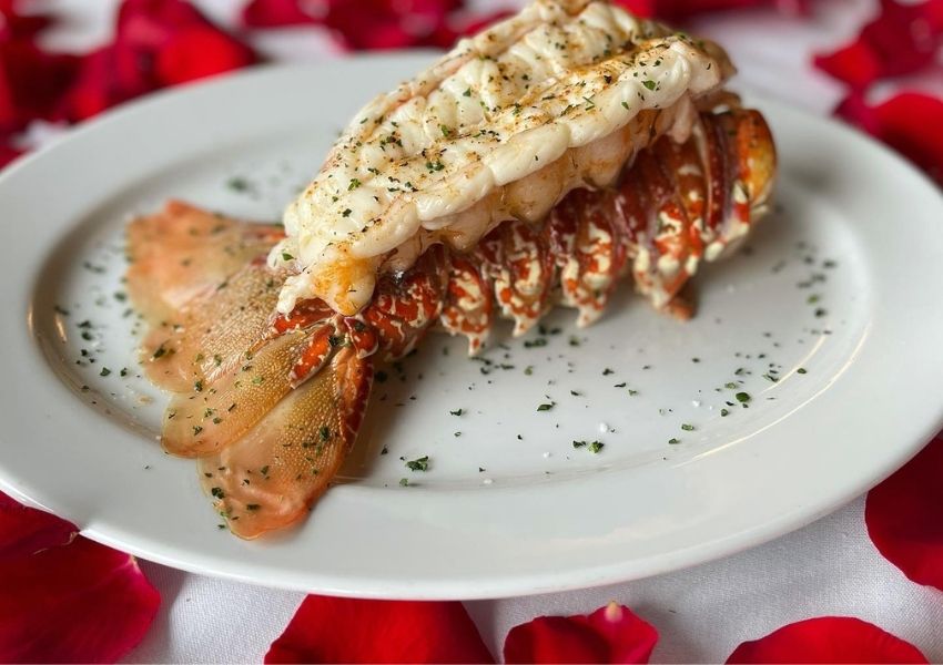 seafood in tampa fl
