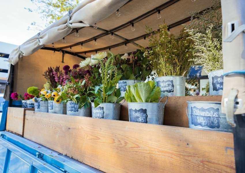 flower shops in tampa bay