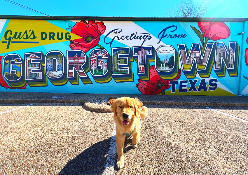 22 austin events in 2022