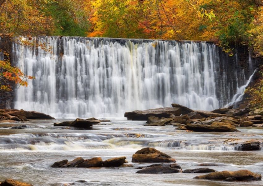 picnic spots in Atlanta