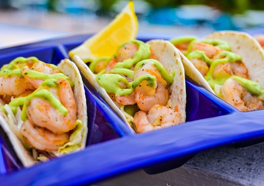 restaurants in tampa bay