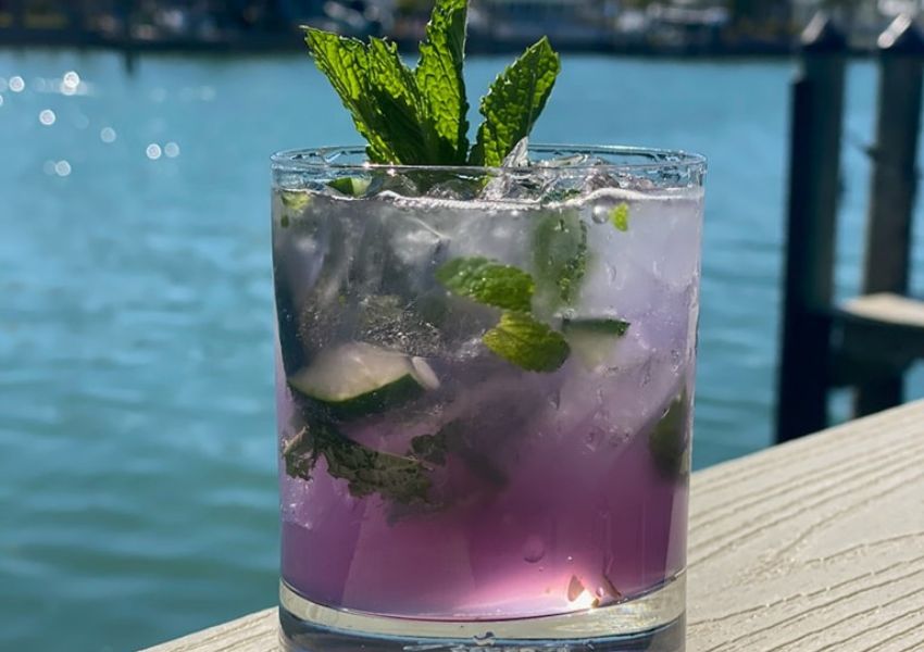 restaurants in tampa bay