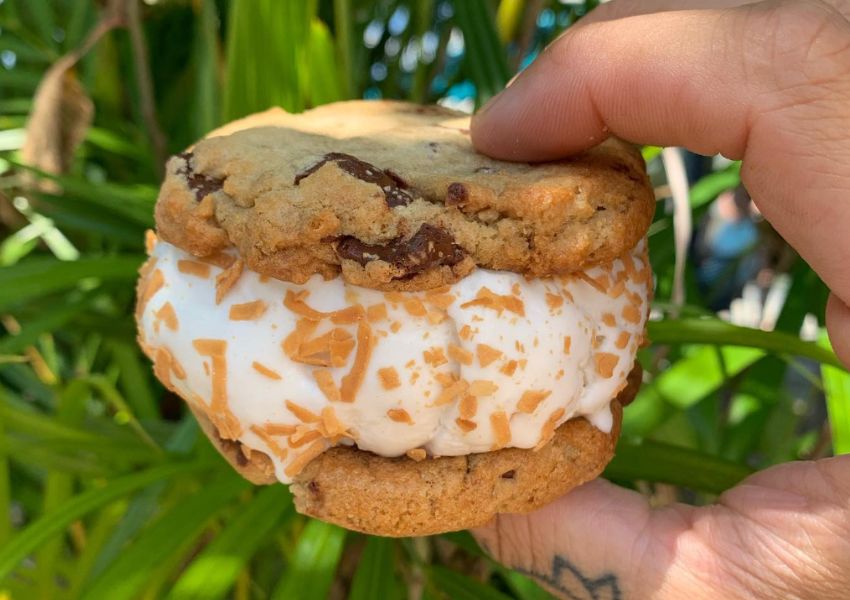 ice cream in tampa bay ice cream tampa bay ice cream shops in tampa fl best vegan restaurants | vegetarian restaurants near me | vegan restaurants tampa
