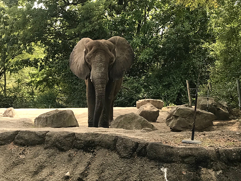 Pittsburgh Zoo Pittsburgh, PA