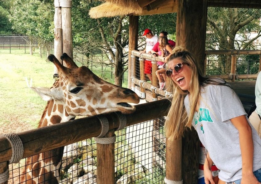 The Best Things To Do in Jacksonville Under $25