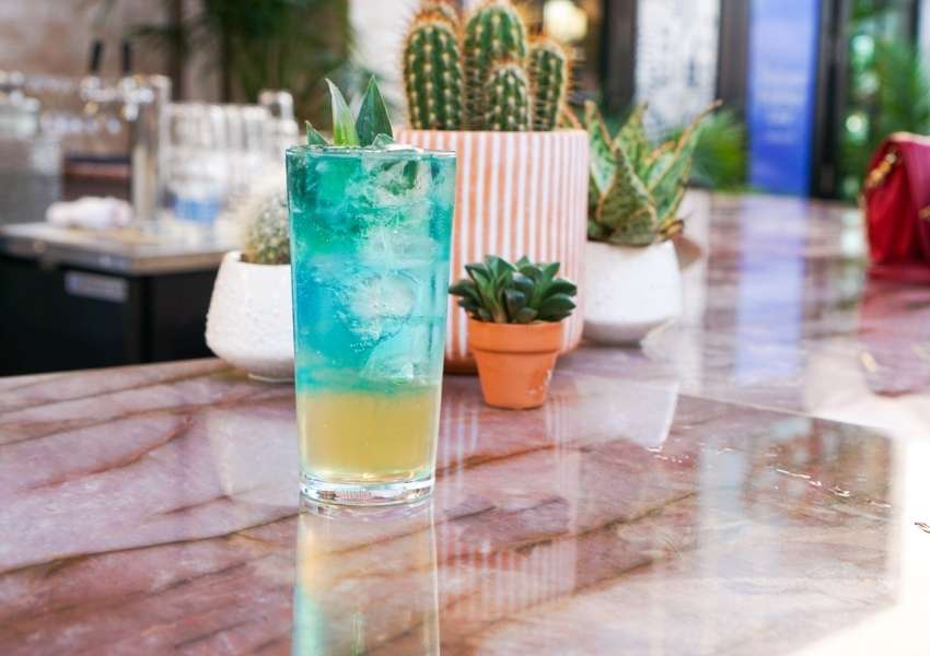 Cocktails in Bishop Arts