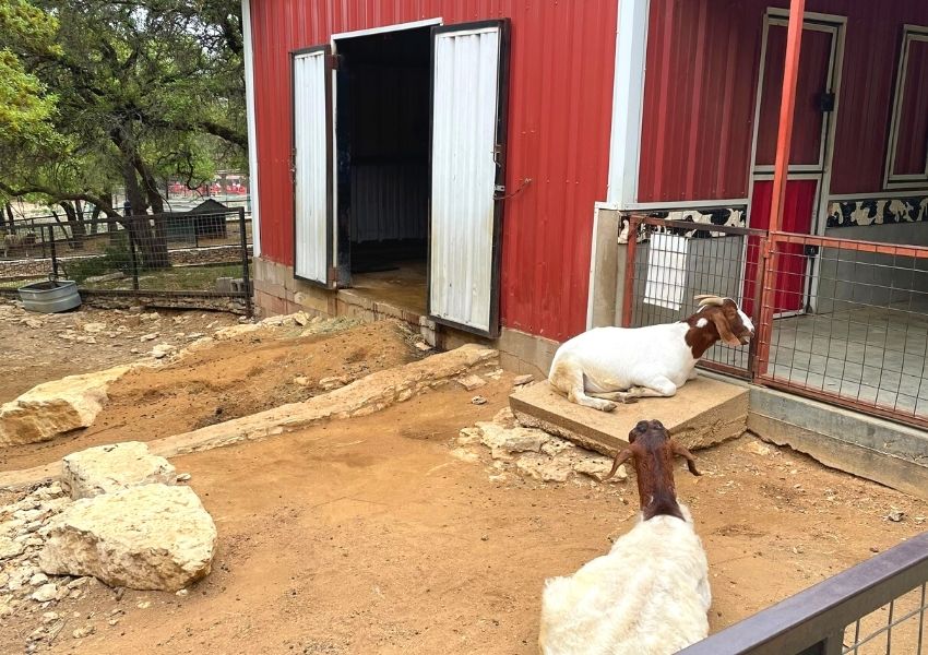 a-z activities in austin