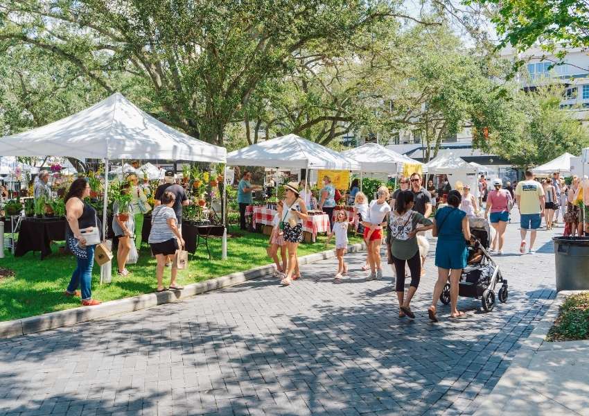 things to do in tampa bay