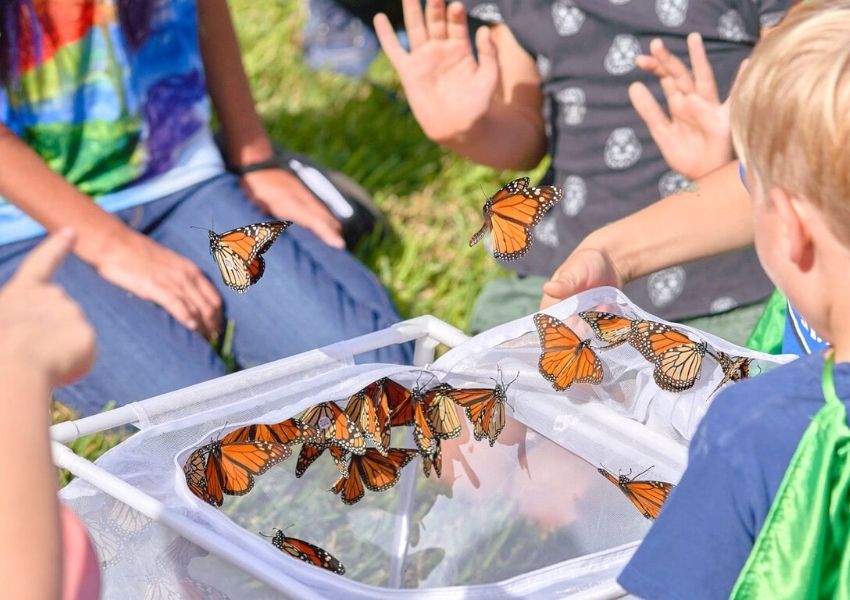 things to do in austin with kids