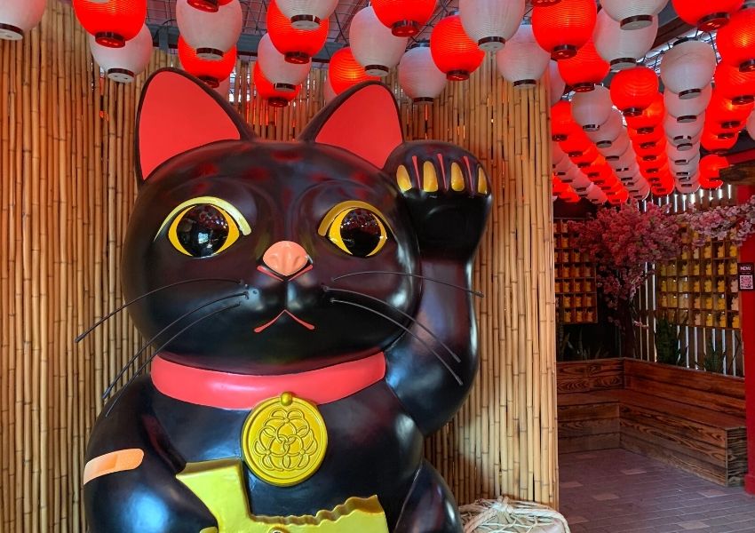 Asian-Owned Businesses in Austin