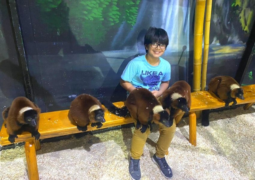 things to do in austin with kids