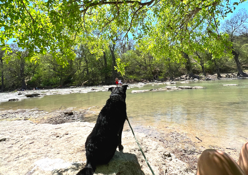 hikes in san antonio