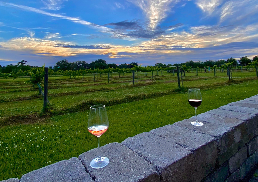 5 Best Wineries Near Jacksonville