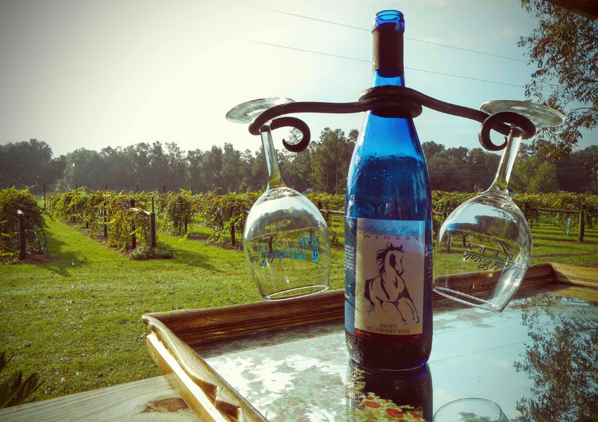 5 Best Wineries Near Jacksonville