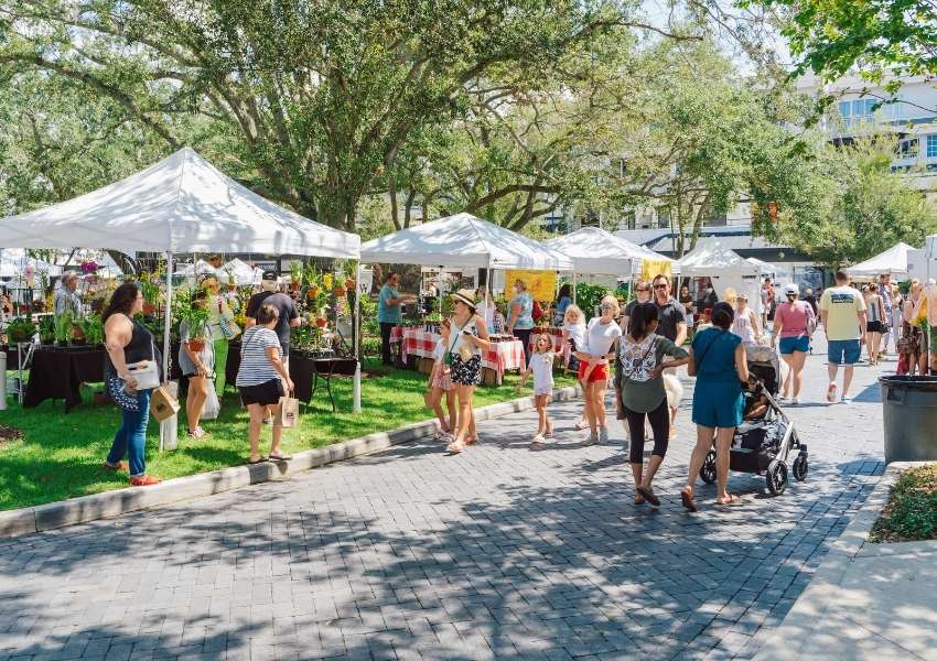 things to do in tampa bay