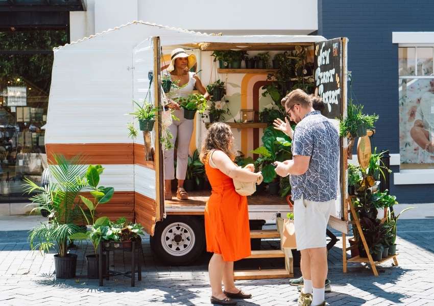 things to do in tampa bay