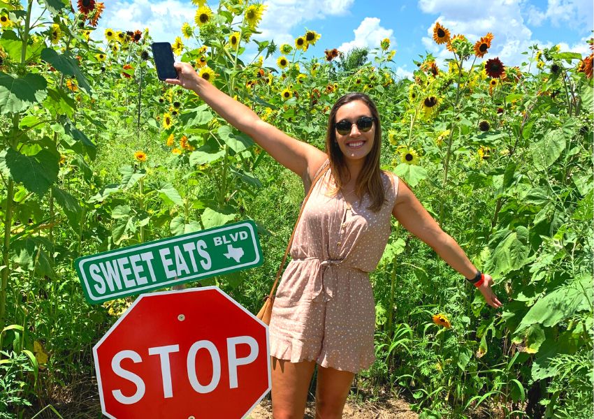 Things to Do in Georgetown