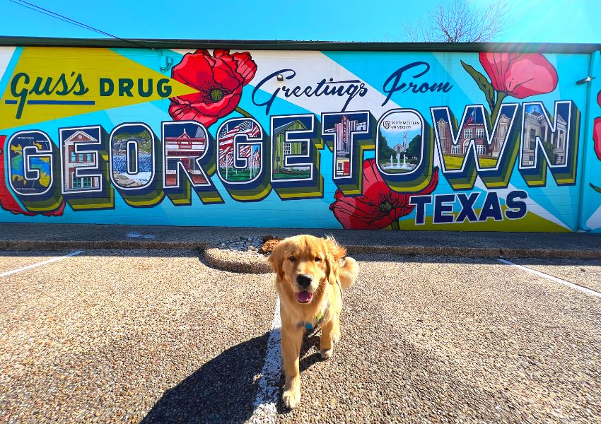 Things to Do in Georgetown