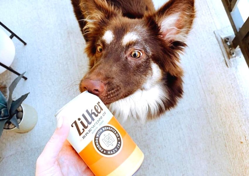 Dog friendly restaurants