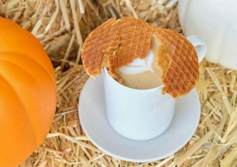 Fall Season