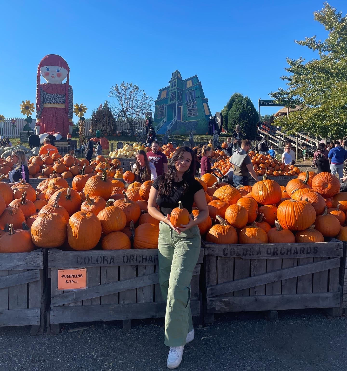 Fall bucket list