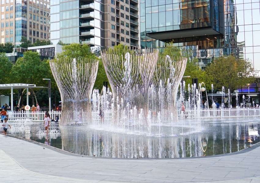 Activities in Dallas
