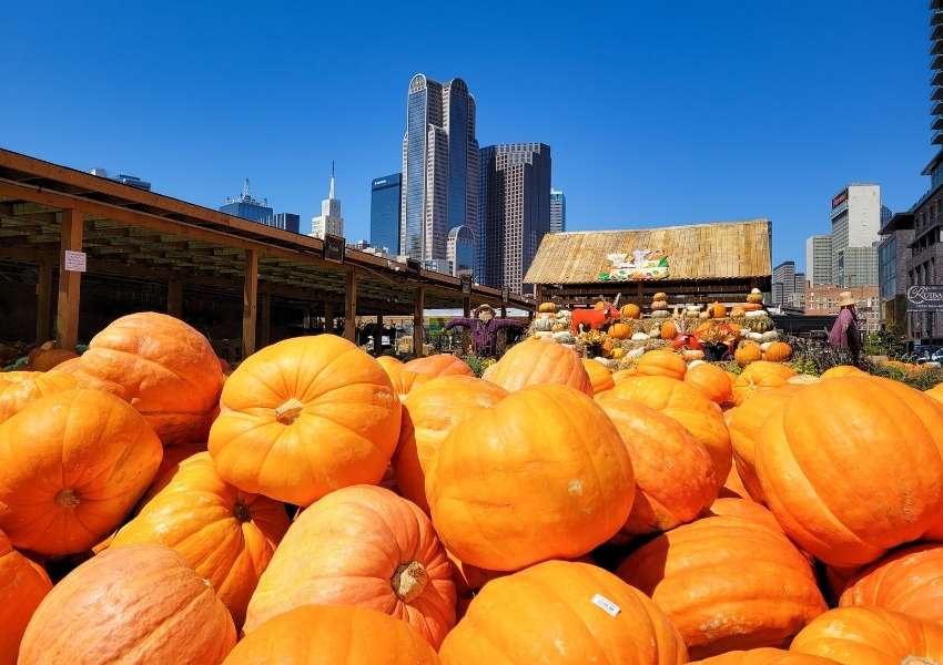 Businesses in Dallas