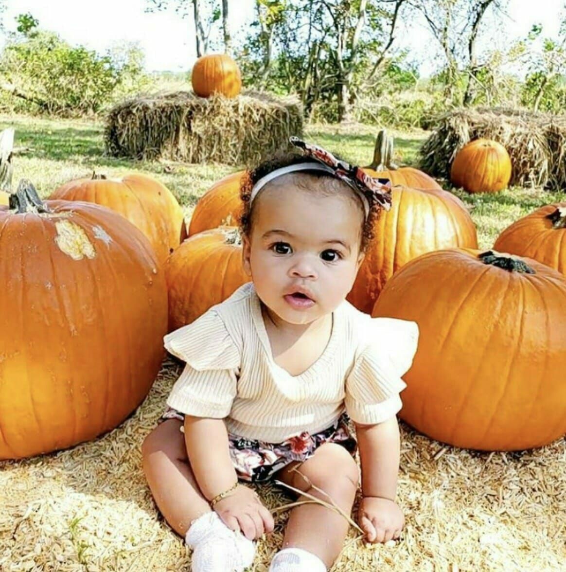 pumpkin patches in houston - ivy leaf