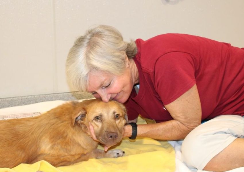 nonprofit volunteer organizations tampa bay human society local charities | local charities to donate to | local charities near me