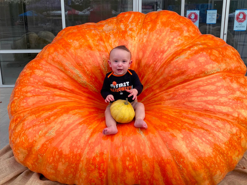 Monster Pumpkin Festival Pittsburgh, PA