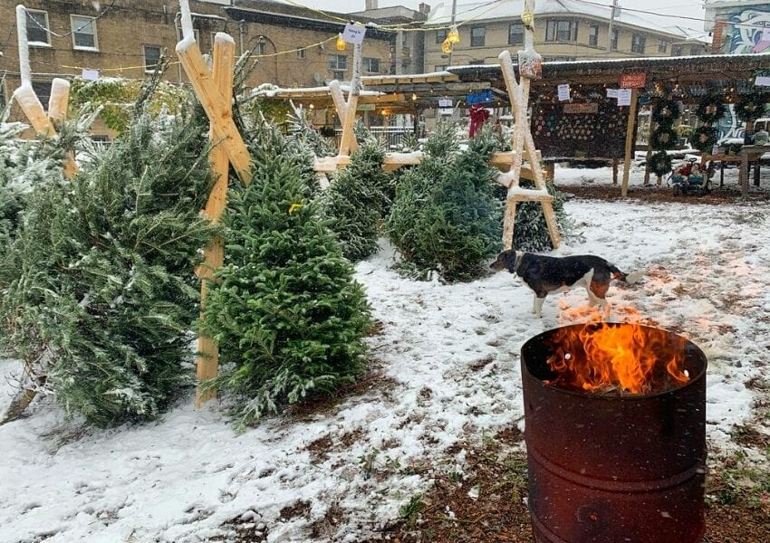 Pittsburgh Holiday Bucket List