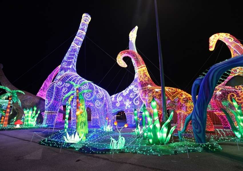 Magical Winter Lights (Holiday Lights in Houston)