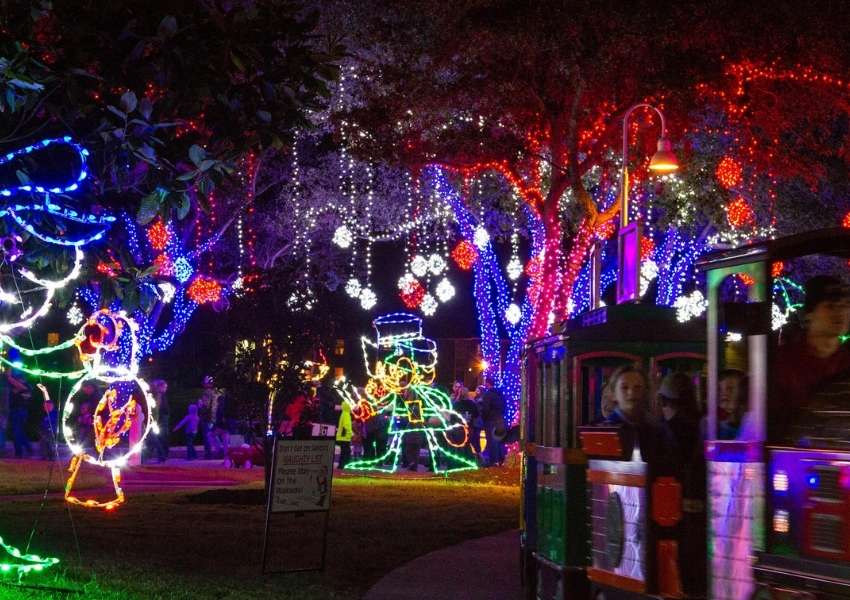 Moody Gardens Holiday Lights (Holiday Lights in Houston)
