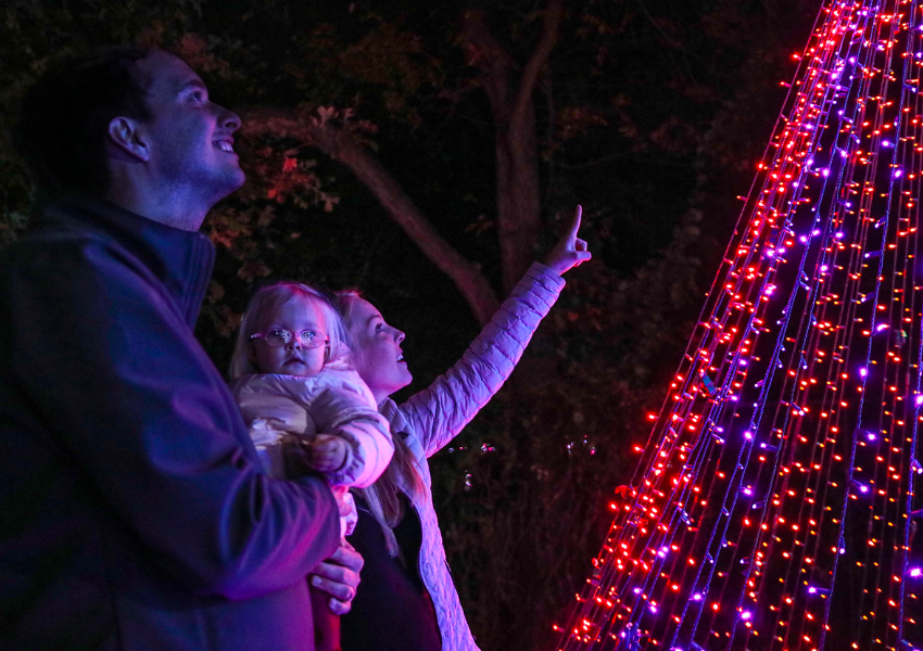 Dallas Zoo Lights | Holiday activities in Dallas for kids