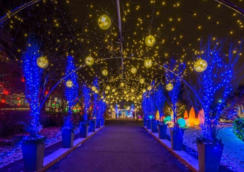 Holiday Lights in Pittsburgh Phipps Conservatory