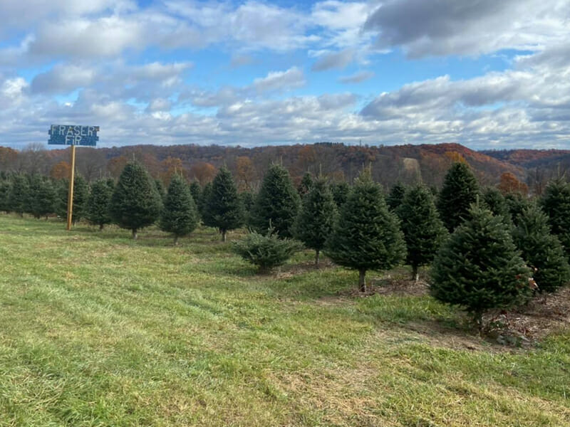 Hozak Farms