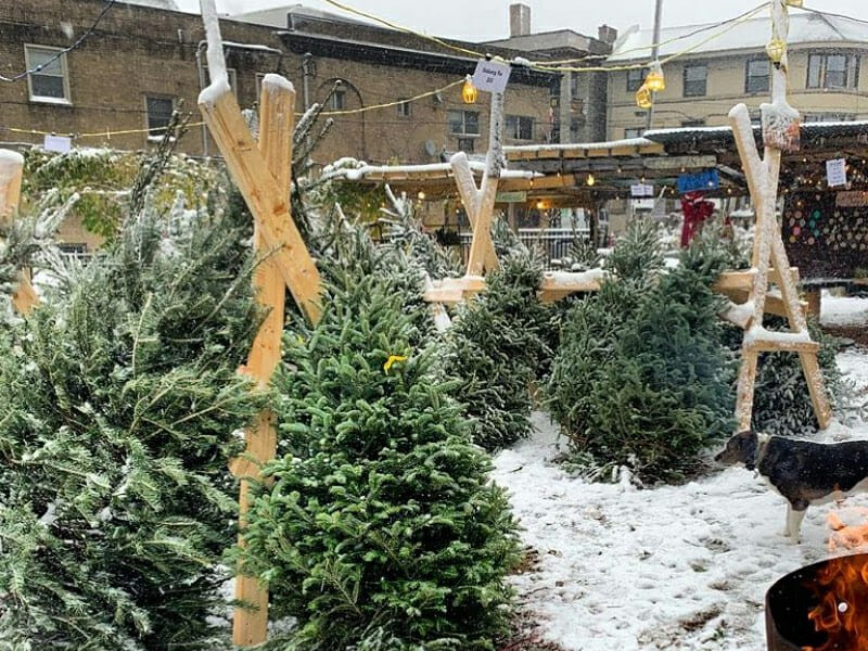 Shadyside Nursery