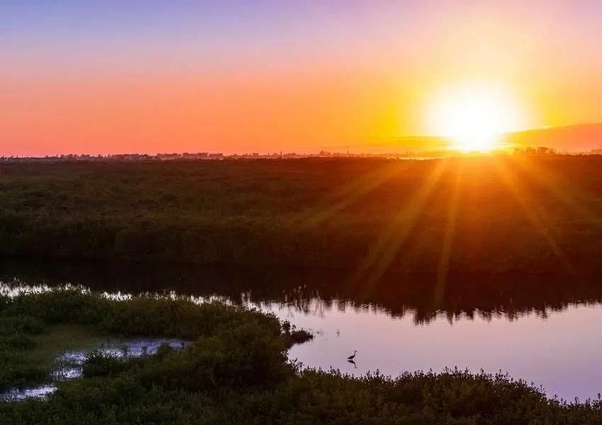 Date Ideas in Bradenton