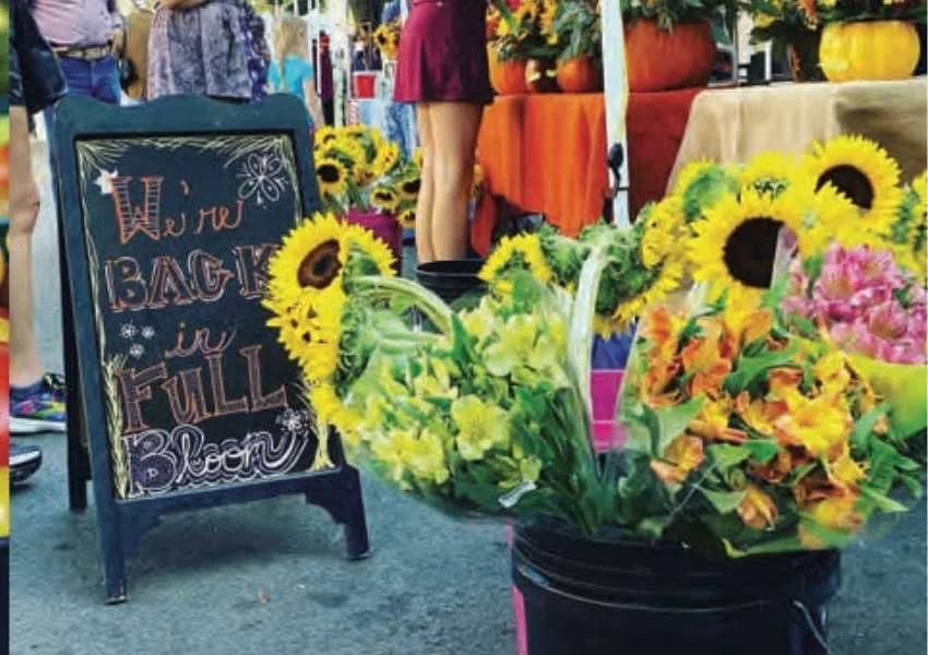 Date Ideas in Bradenton