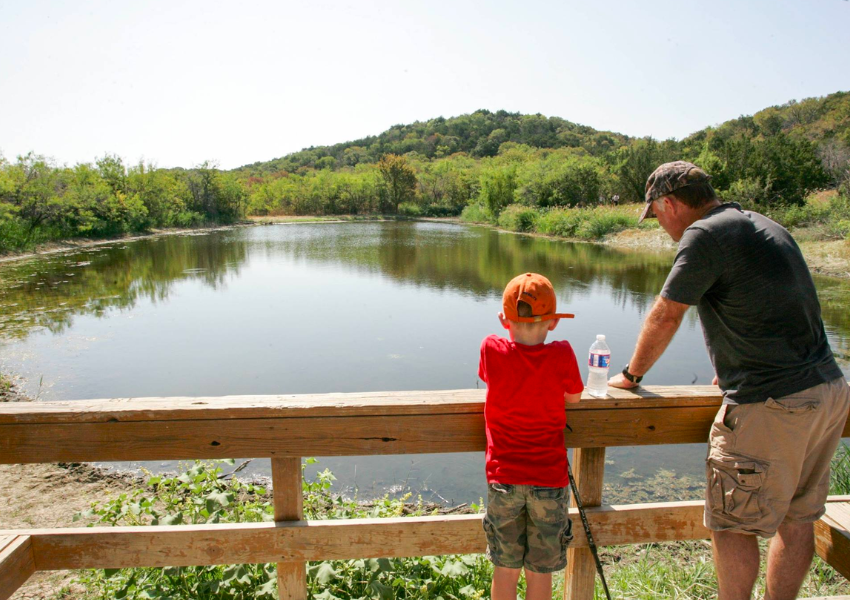 free things to do in dallas