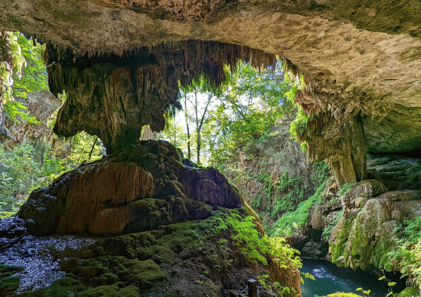 dripping springs austin