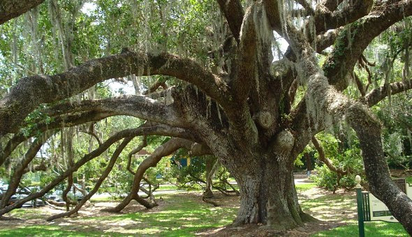 Get Outside with the Best Kids Activities In Orlando