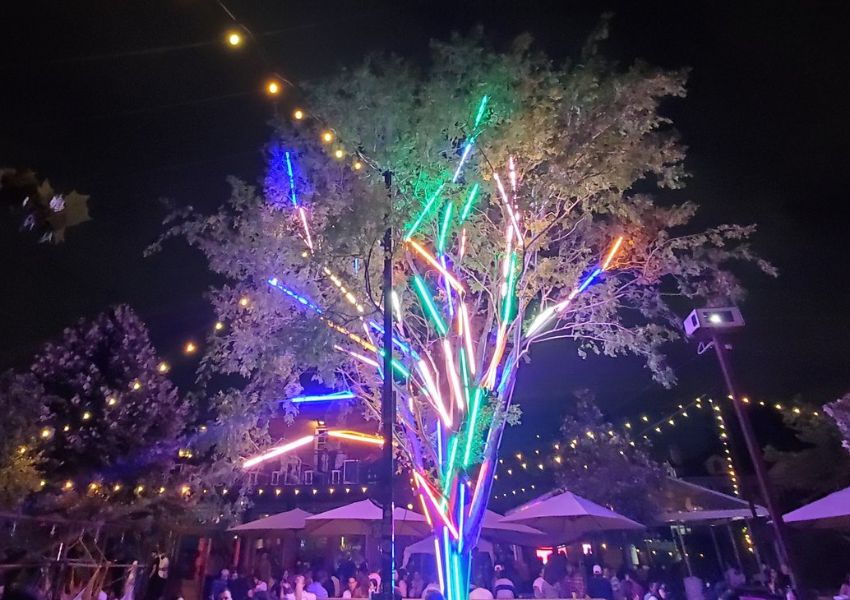 7 Cinco de Mayo Events in Houston to Get Your Fiesta Started