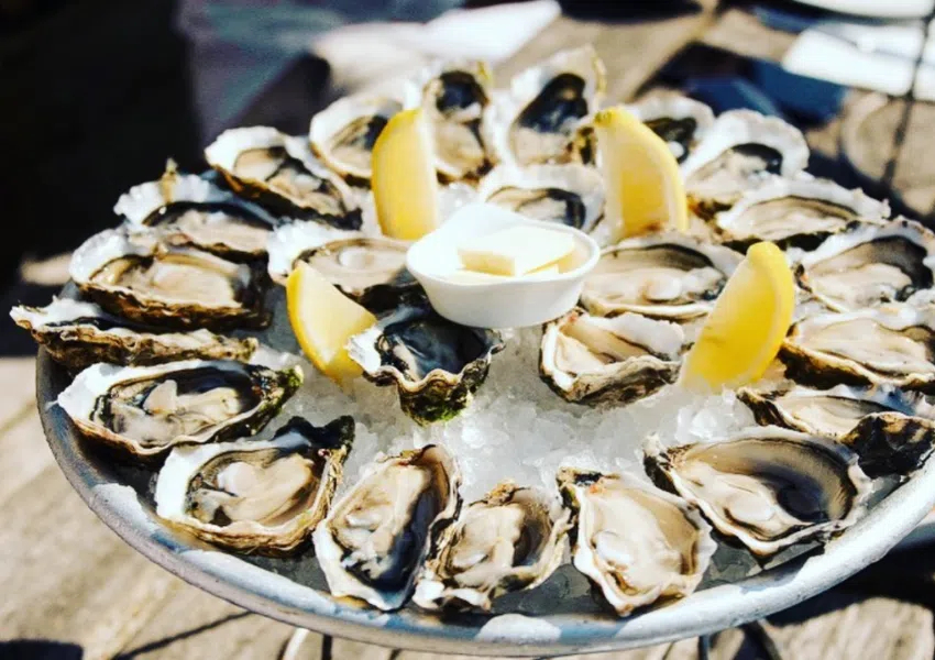 outdoor dining tampa popular restaurants
