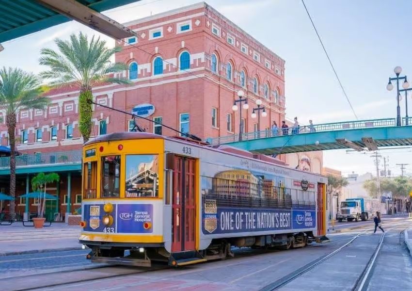 downtown tampa attractions sightseeing tampa downtown tampa things to do nearby