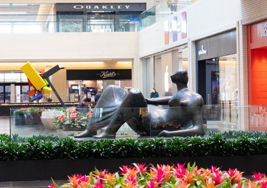 Fun stuff to do in dallas
