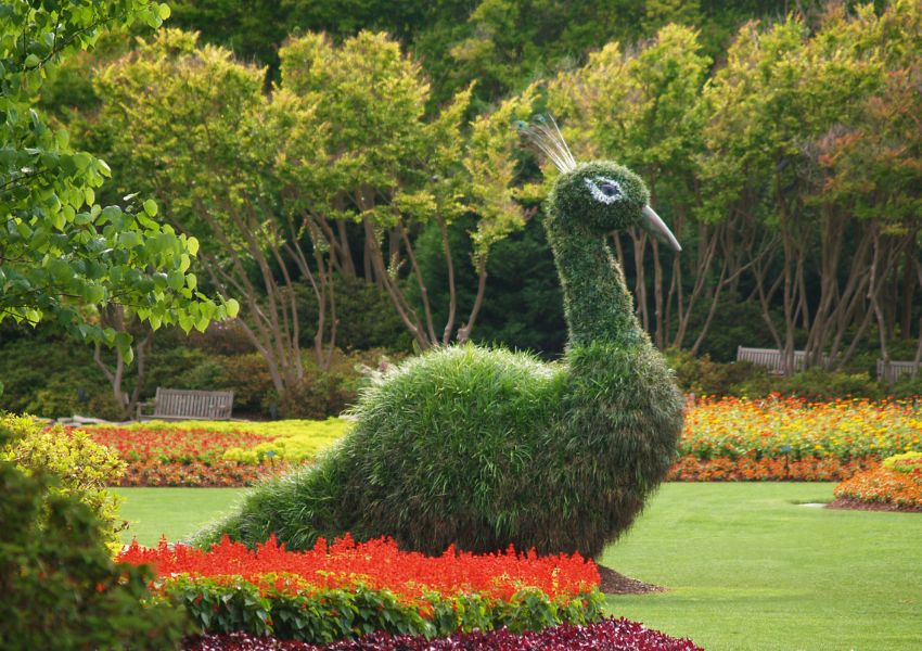 Dallas Arboretum