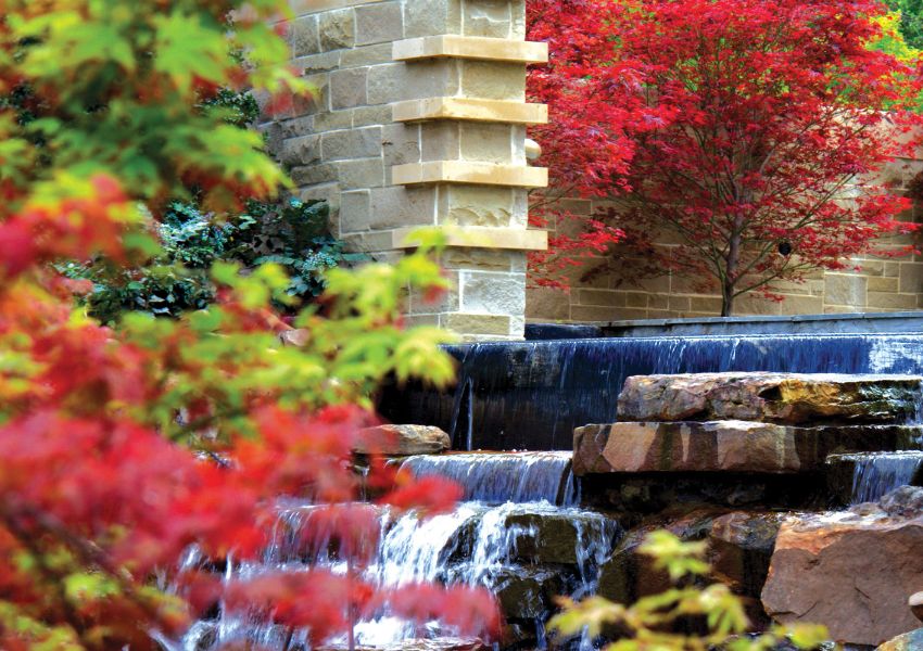 Dallas Arboretum