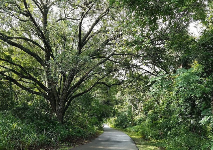 Accessible Seminole Wekivae Trail