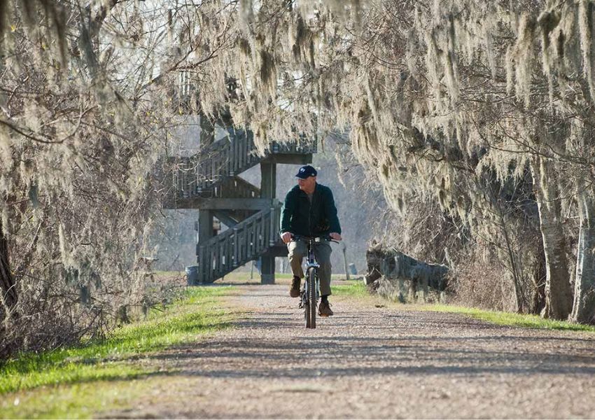 brazos bend state park day trips in houston